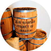 焙煎所（ロースター）